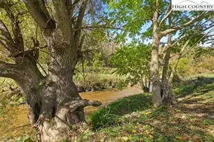 790 Howard Edmisten Rd, Sugar Grove, NC 28679 - Photo 36