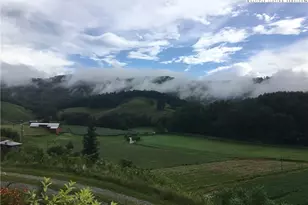 790 Howard Edmisten Rd, Sugar Grove, NC 28679 - Photo 42