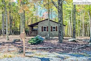 719 Pine Ridge Rd, Beech Mountain, NC 28604 - Photo 32