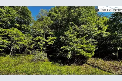 13 Peck Peak Road, Jefferson, NC 28640 - Photo 6