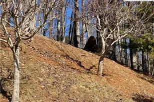 5212 Nc Hwy 88 W, Warrensville, NC 28693 - Photo 42