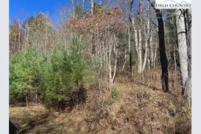 Tbd River Front Drive, Jefferson, NC 28640 - Photo 4