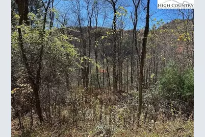 Tbd River Front Drive, Jefferson, NC 28640 - Photo 2