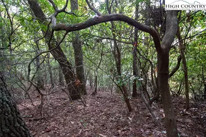 Lot# 594 Timberline Drive, Lenoir, NC 28645 - Photo 16