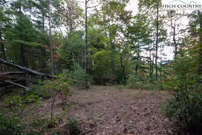 Lot# 594 Timberline Drive, Lenoir, NC 28645 - Photo 8