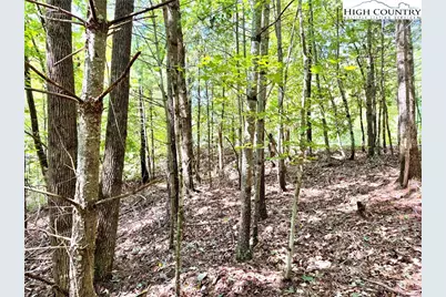 3.31 Acres, Lot 37 Poplar Bluff Drive, Lenoir, NC 28645 - Photo 6