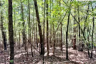 3 31 Acres Lot 37 Poplar Bluff Dr, Lenoir, NC 28645 - Photo 1