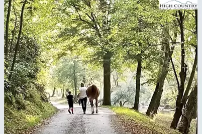 3.31 Acres, Lot 37 Poplar Bluff Drive, Lenoir, NC 28645 - Photo 18