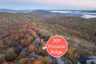 309 Pinnacle Ridge Rd, Beech Mountain, NC 28604 - Photo 4