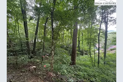 Tbd Clubhouse Drive, Banner Elk, NC 28604 - Photo 4