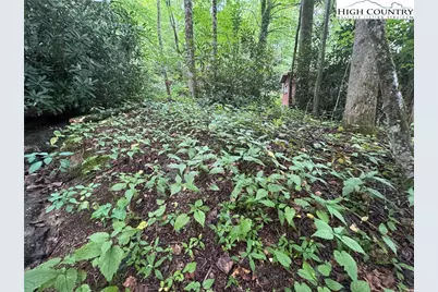 Tbd Clubhouse Drive, Banner Elk, NC 28604 - Photo 12