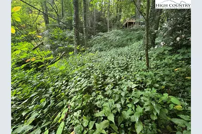 Tbd Clubhouse Drive, Banner Elk, NC 28604 - Photo 18