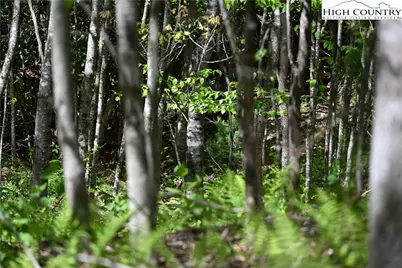 11 Knob Hill Drive, Todd, NC 28684 - Photo 2