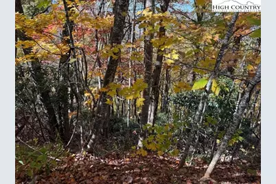 Lot 50-51 Poplar Trail, Creston, NC 28615 - Photo 1