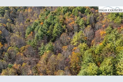 Tbd Mill Valley Drive, Jefferson, NC 28640 - Photo 16