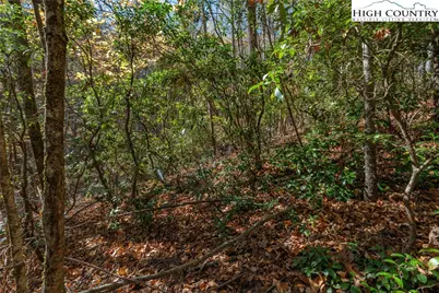 Tbd Mill Valley Drive, Jefferson, NC 28640 - Photo 8