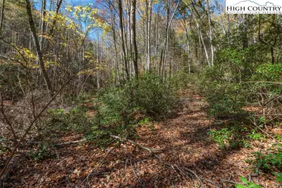 Tbd Mill Valley Drive, Jefferson, NC 28640 - Photo 6