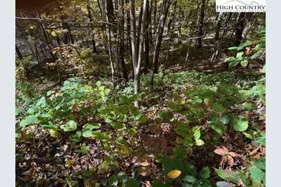 Lot 53 & 53A Poplar Trail, Creston, NC 28615 - Photo 1