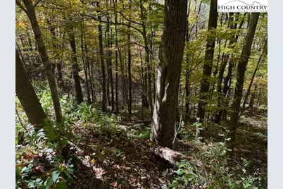 Lot 53 & 53A Poplar Trail, Creston, NC 28615 - Photo 2