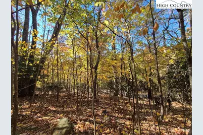 Tbd Lauren Lane, West Jefferson, NC 28694 - Photo 8