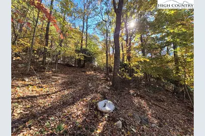 Tbd Lauren Lane, West Jefferson, NC 28694 - Photo 4