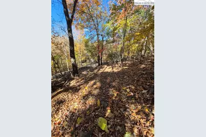 Tbd Lauren Lane, West Jefferson, NC 28694 - Photo 14