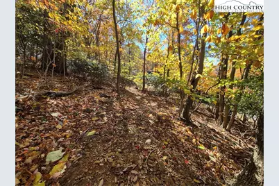 Tbd Lauren Lane, West Jefferson, NC 28694 - Photo 12