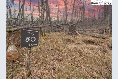 Es 80 Lands End Trail, Banner Elk, NC 28604 - Photo 1