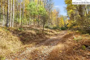Tbd Monroe Herman #1 Rd, Banner Elk, NC 28604 - Photo 1