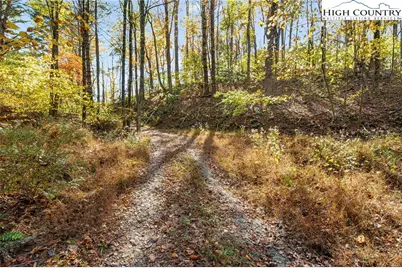 Tbd Monroe Herman #3 Road, Banner Elk, NC 28604 - Photo 8