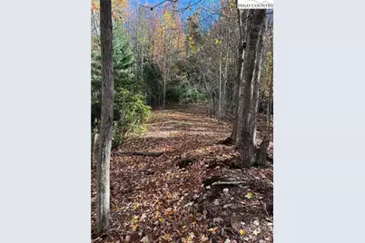 Lot 4B & 5 Chestnut Mountain Road, Beech Mountain, NC 28604 - Photo 12