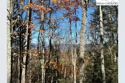 Lot 4B & 5 Chestnut Mountain Road, Beech Mountain, NC 28604 - Photo 18