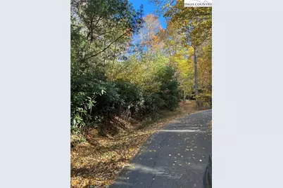 Lot 4B & 5 Chestnut Mountain Road, Beech Mountain, NC 28604 - Photo 4