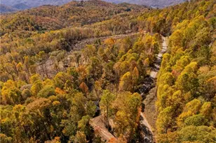 2161 Stone Mountain Rd, Vilas, NC 28692 - Photo 50