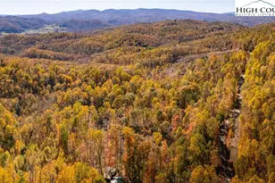 2161 Stone Mountain Rd, Vilas, NC 28692 - Photo 40