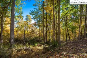 2161 Stone Mountain Rd, Vilas, NC 28692 - Photo 26