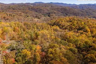 2161 Stone Mountain Rd, Vilas, NC 28692 - Photo 44