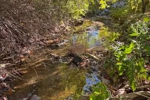 336 Willowdale Church Rd, Vilas, NC 28692 - Photo 10