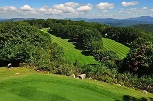 101 Golfview Dr, Beech Mountain, NC 28604 - Photo 48