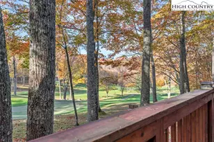 101 Golfview Dr, Beech Mountain, NC 28604 - Photo 36