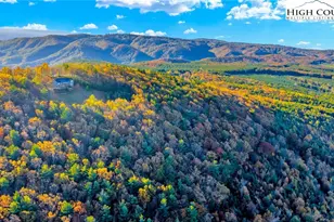 324 Rocky Rdg Ln, Glade Valley, NC 28627 - Photo 1