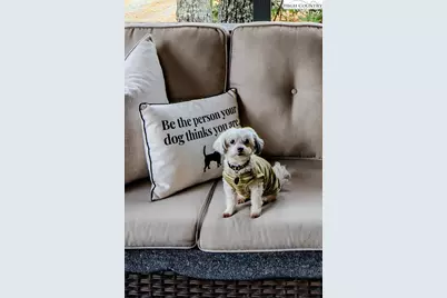 135 Mountain Ivy Lane, Boone, NC 28607 - Photo 30