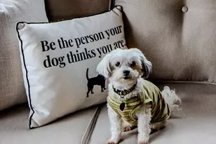 135 Mountain Ivy Ln, Boone, NC 28607 - Photo 30