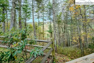 135 Mountain Ivy Ln, Boone, NC 28607 - Photo 2