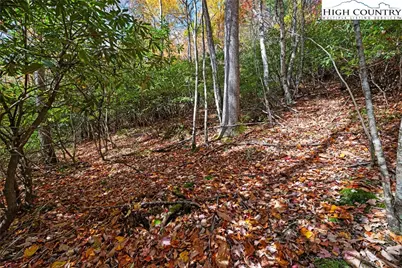 244 Poplar Drive, Beech Mountain, NC 28604 - Photo 1