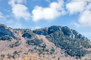 143 Loch Dornie Dr, Linville, NC 28646 - Photo 40