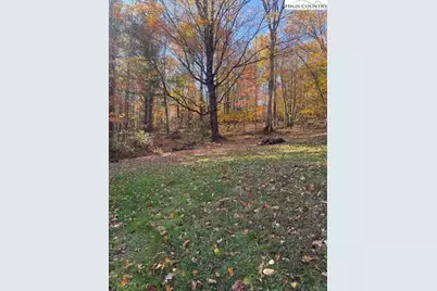 431 & 445 Von Turner Road, West Jefferson, NC 28694 - Photo 2