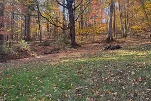 431 & 445 Von Turner Rd, West Jefferson, NC 28694 - Photo 2