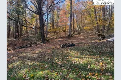 431 & 445 Von Turner Road, West Jefferson, NC 28694 - Photo 4