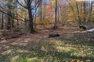 431 & 445 Von Turner Rd, West Jefferson, NC 28694 - Photo 4